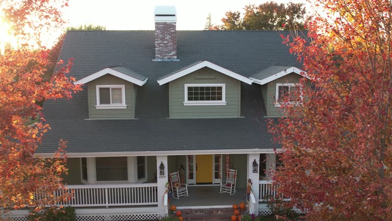 Best Roof Insulation Installation  in Palmer Ranch, FL