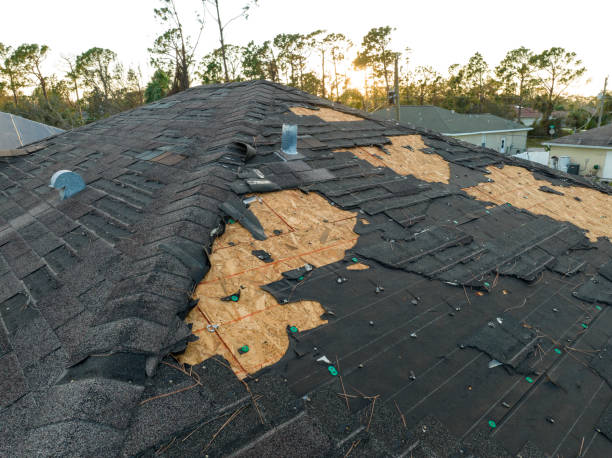 Best Chimney Flashing Repair  in Palmer Ranch, FL