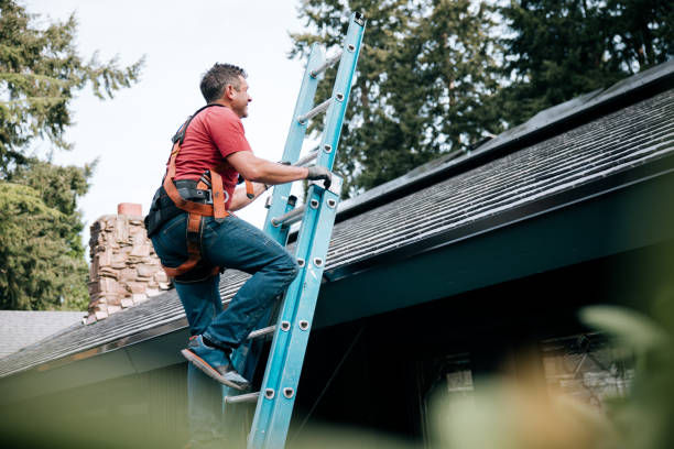 Best Cold Roofs  in Palmer Ranch, FL