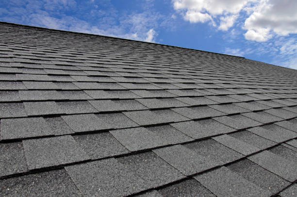 Steel Roofing in Palmer Ranch, FL
